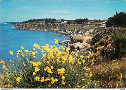 Carte Postale - 44 - La Bernerie en Retz - Côte de la Boutinardière - CPM - Voir Scans Recto-Verso - Poscard - Carta Pos