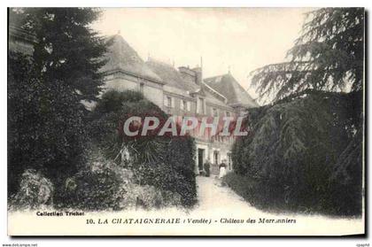 CPA La Chataigneraie Chateau des Pont Marronniers