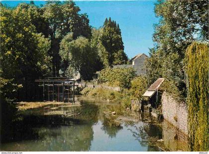 77 - La Ferte Gaucher - Déversoir du pont des Grenouilles - CPM - Voir Scans Recto-Verso