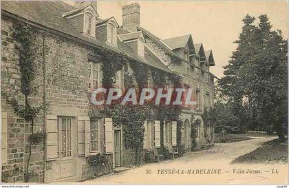 CPA Tesse la Madeleine Villa javin LL