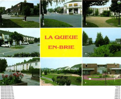 La queue en brie "multi vues"