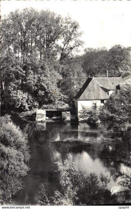 CPA La Roche Posay L'Ancien Moulin et la Creuse