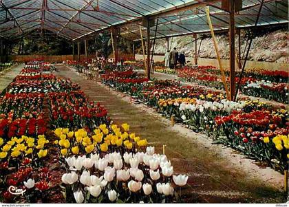 85 - La Tranche sur Mer - Les Floralies - Fleurs - CPM - Voir Scans Recto-Verso