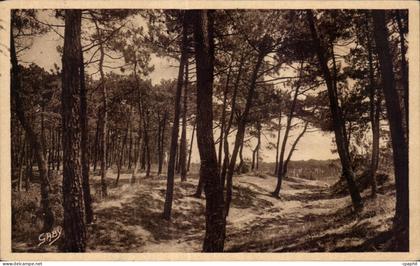 CPA La Tranche Sur Mer (Vendee) La Foret