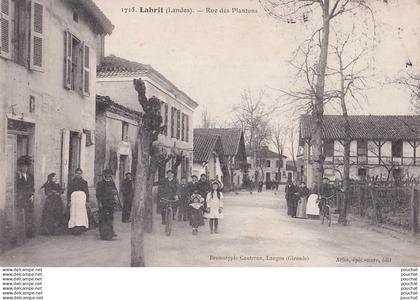 B8-40) LABRIT (LANDES) RUE DES PLANTONS -  ( ANIMEE -  HABITANTS - 1909 - 2 SCANS )