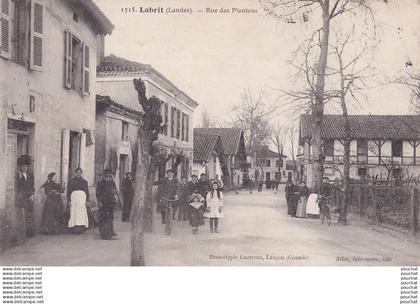 B8-40) LABRIT (LANDES) RUE DES PLANTONS -  ( ANIMEE -  HABITANTS - 1909 - 2 SCANS )