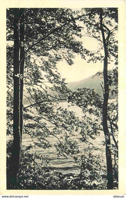 Carte Postale - 38 - Laffrey - Le Lac de Laffrey - CPA - Voir Scans Recto-Verso - Poscard - Carta Postal -  Postkarte