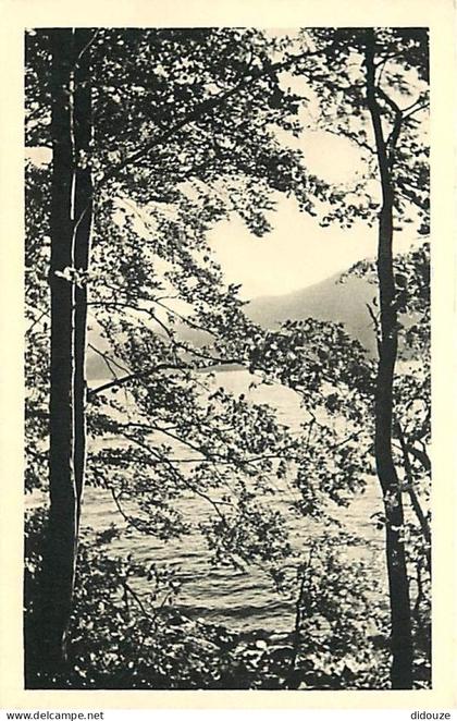 Carte Postale Ancienne - 38 - Laffrey - Le Lac de Laffrey - CPA - Voir Scans Recto-Verso - Poscard - Carta Postal -  Pos