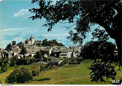 Carte Postale - 12 - Laguiole - Vue Générale - CPM - Voir Scans Recto-Verso - Poscard - Carta Postal -  Postkarte