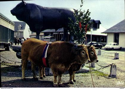 CPA Laguiole Aveyron Les Boeufs de Paques