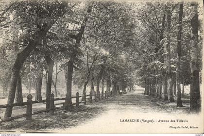 CPA Lamarche Vosges Avenue des Tilleuls