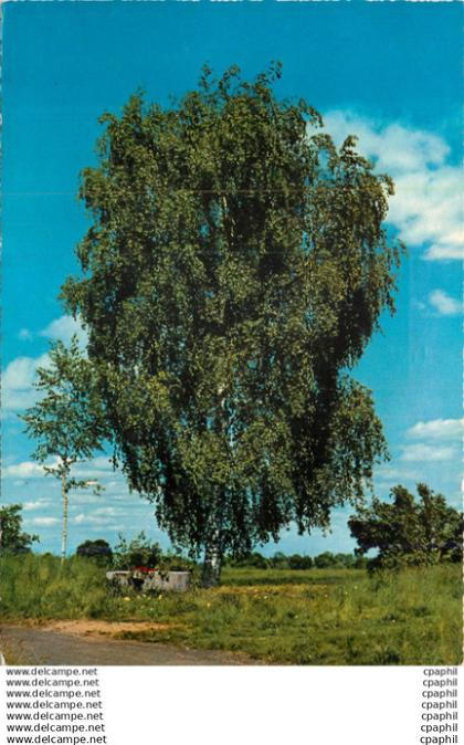 CPM Lambersart