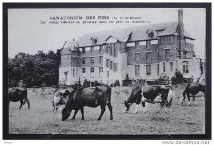 41 Lamotte-Beuvron sanatorium vache    D41D  K41106K  C41106C RH029875