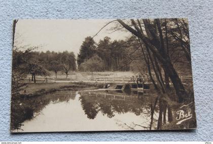 Cpsm 1952, Lamotte Beuvron, paysage de Sologne, Loir et Cher 41