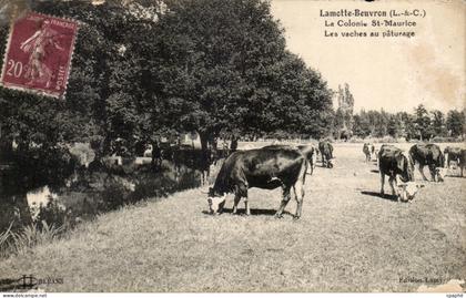 Lamotte Beuvron CPA La colonie St maurice Les vaches au paturage