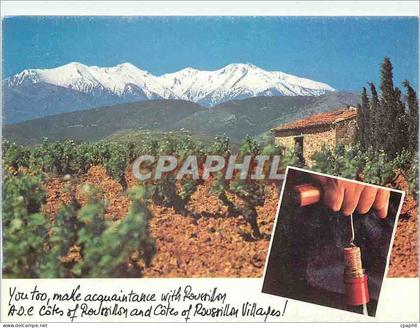 CPM Mount Canigou Roussillon France