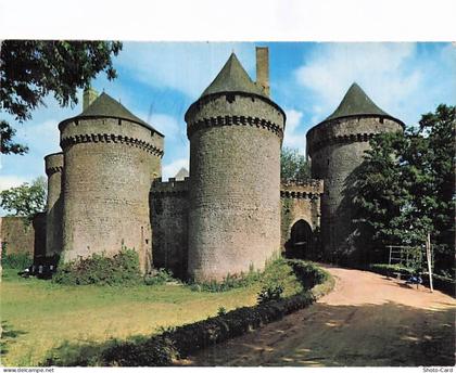53 LASSAY LES CHATEAUX CHATEAU DE LASSAY