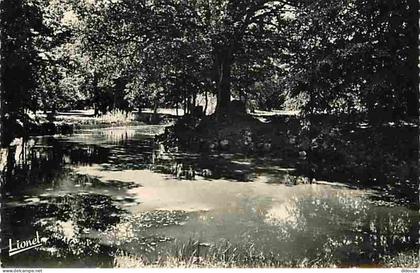 Carte Postale - 49 - Le Louroux Beconnais - Le Château du Chillon - Maison de convalescence - la Pièce d'eau - CPM - Voi