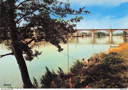 77 LE MEE SUR SEINE BORDS DE SEINE