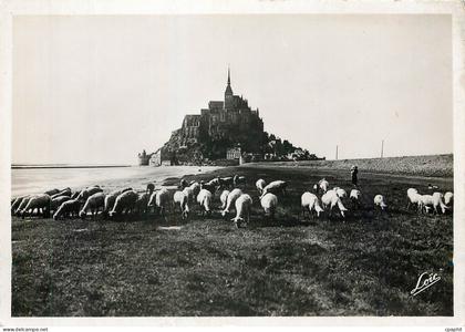 CPM Le Mont Saint Michel Moutons