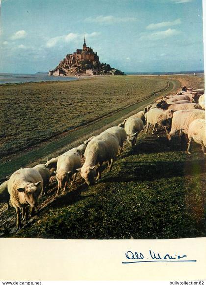CPSM Le Mont Saint Michel 50/121