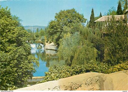 CPM Le Muy (Var) Le veux moulin (Site classe)
