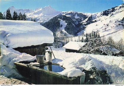 74 LES CONTAMINES MONTJOIE