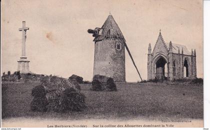 LES HERBIERS(MOULIN)