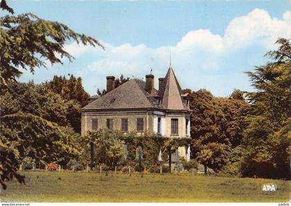 carte postale 09. Lezat sur Leze le château du Biac très beau plan