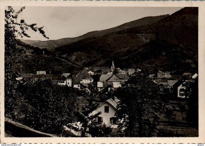 N°33202 W -cpsm Lièpvre -vue partielle-