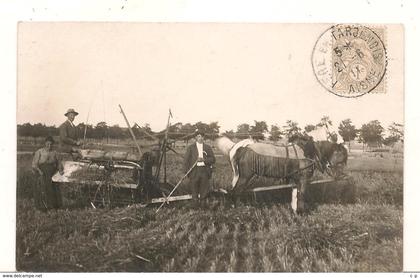 Lievin - Fere en Tardenois -  Carte Photo  - Scenes Champetres - La Recolte du Blé  -  Beau Plan -  RARE - CPA  °