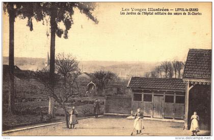 Carte Postale Ancienne de LIFFOL le GRAND