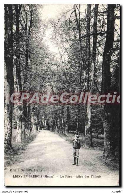 CPA Ligny En Barrois Le Parc Allee Des Tilleuls