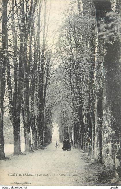 CPA Ligny en Barrois une allee du parc