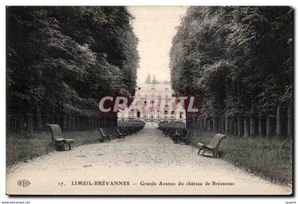 CPA Limeil Brevannes Grande Avenue du chateau de Brevannes