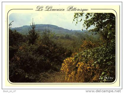 {52703} Le Limousin pittoresque ;  paysage