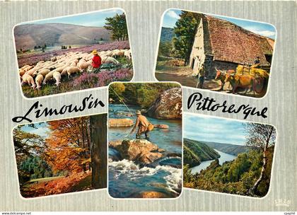 CPSM Paysages de Limousin