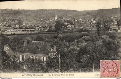 CPA Livarot Vue Generale prise du Livet