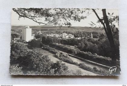Cpsm, Lizy sur Ourcq, vue panoramique, Seine et Marne 77