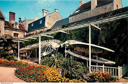 14 - Luc sur Mer - Jardin municipal : Squelette de la baleine échouée au lieu dit Moulin de Luc, le 12 janvier 1885 - Fl