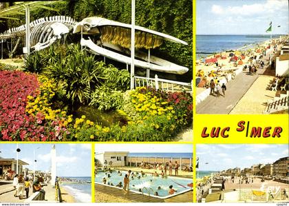 CPSM Luc sur Mer Calvados le parc municipal et le Squelette de la Baleine echouee a Luc en Janvier 1