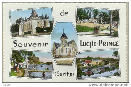 CPSM FORMAT CPA LUCHE PRINGE : MULTIVUES