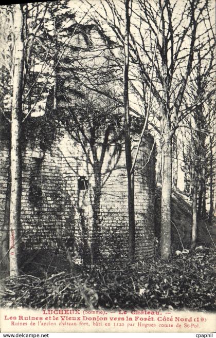 CPA Lucheux (Somme) Le Chateau Les Ruines et le Vieux Donjon vers le Foret Cote Nord