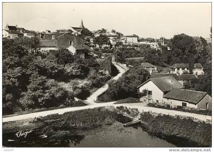 LUSSAC les CHATEAUX 86 - Vue générale