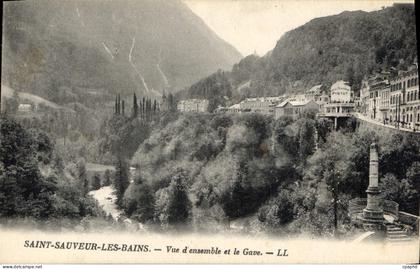 CPA Saint Sauveur Les Bains Vue d'Ensemble etla Gave