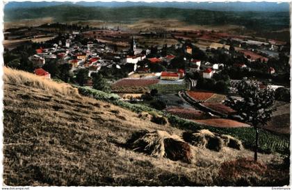 CPA   Carte Postale   France  Le Bois-d'Oingt, Vue générale aérienne  VM107733