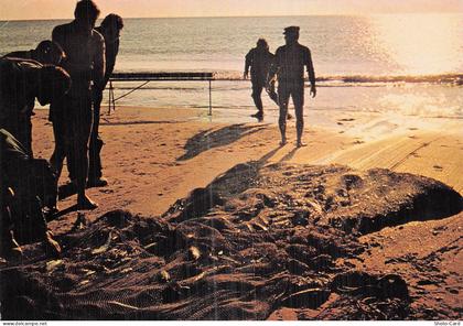 34 MARSEILLAN MARSEILLAN PLAGE