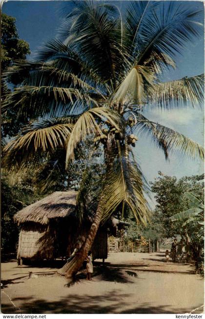 Greetings from Martinique