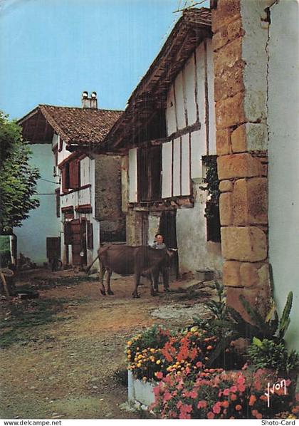 64 MAULEON LICHARRE MAULEON SOULE