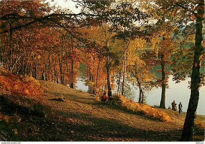 Carte Postale - 78 - Maurepas - Les abords du bassin de la Courance - CPM - Flamme Postale de Maurepas - Voir Scans Rect